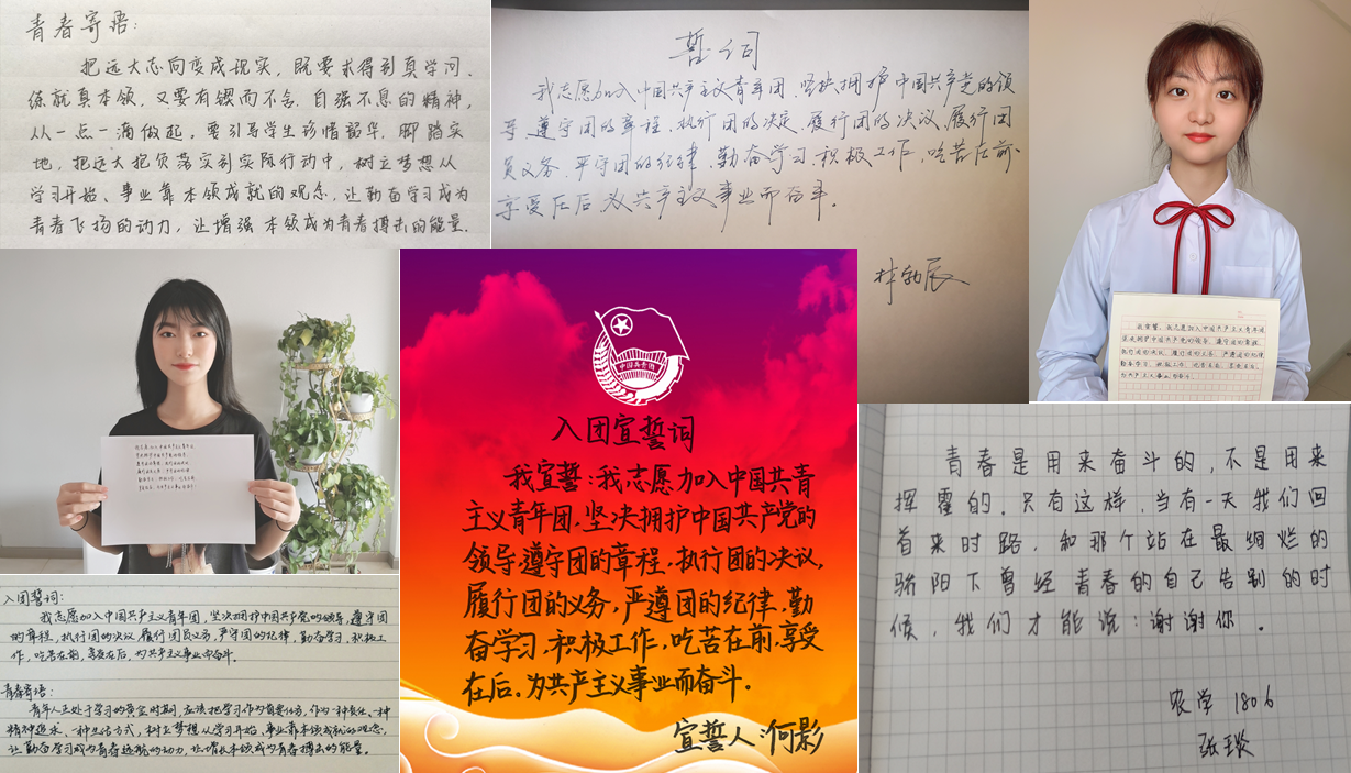 重温入团誓词
